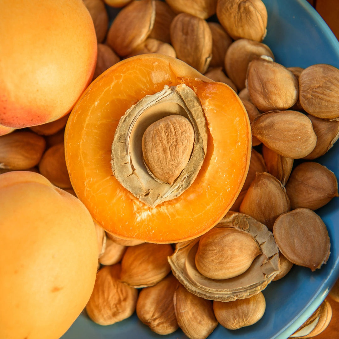 Apricot Kernel