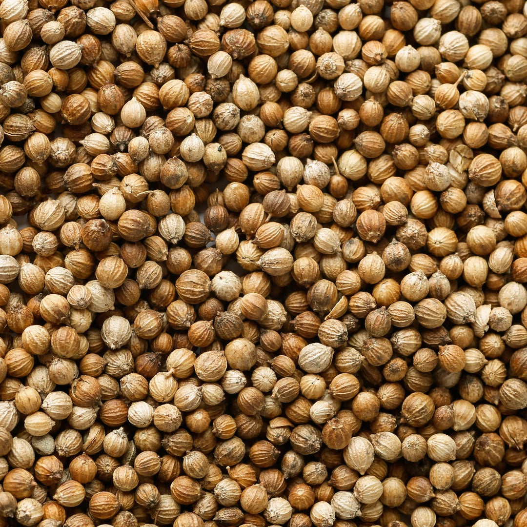 Coriander Seed Oil