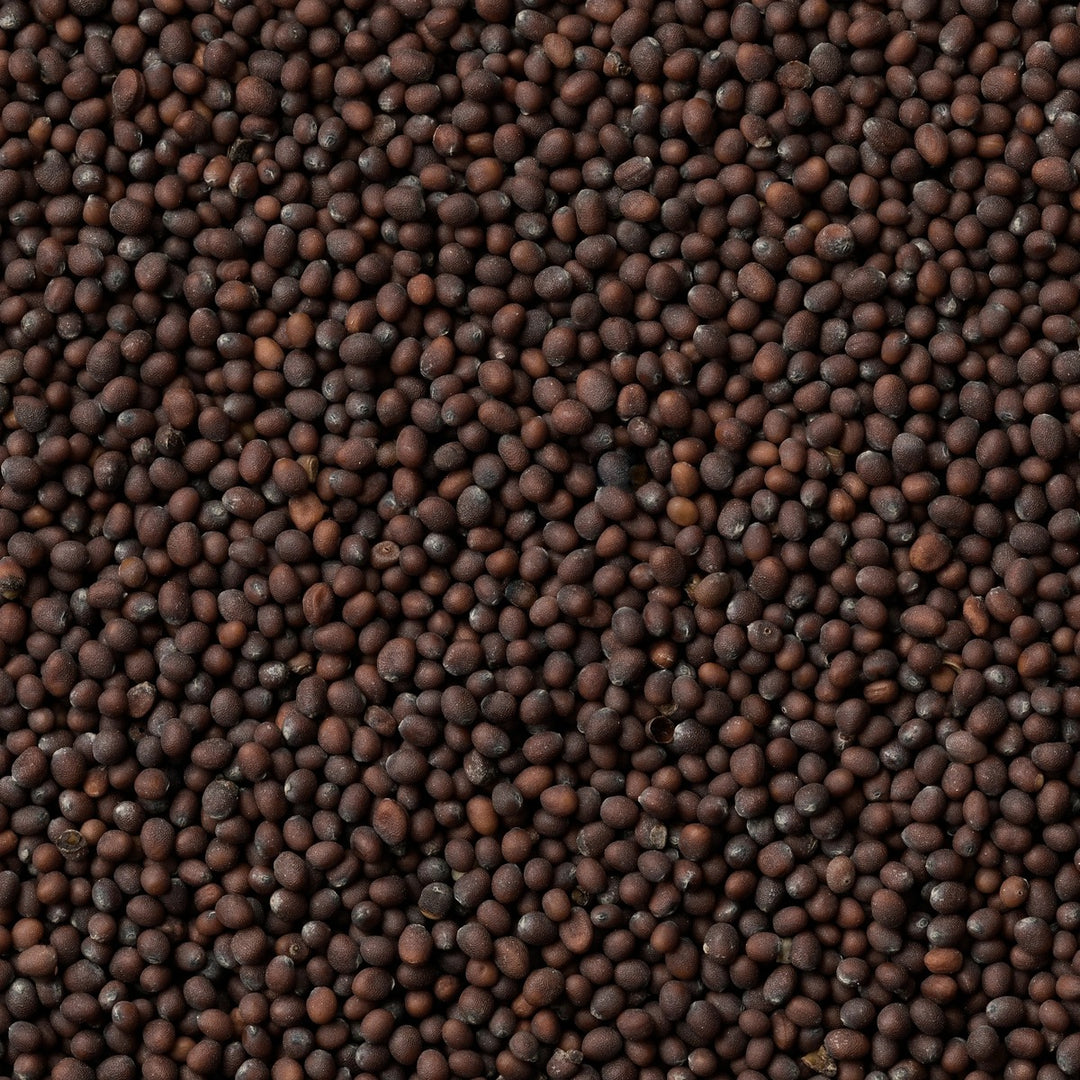 Mustard Seed Oil