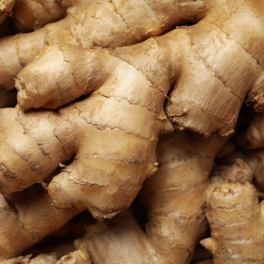 Ginger Essential Oil