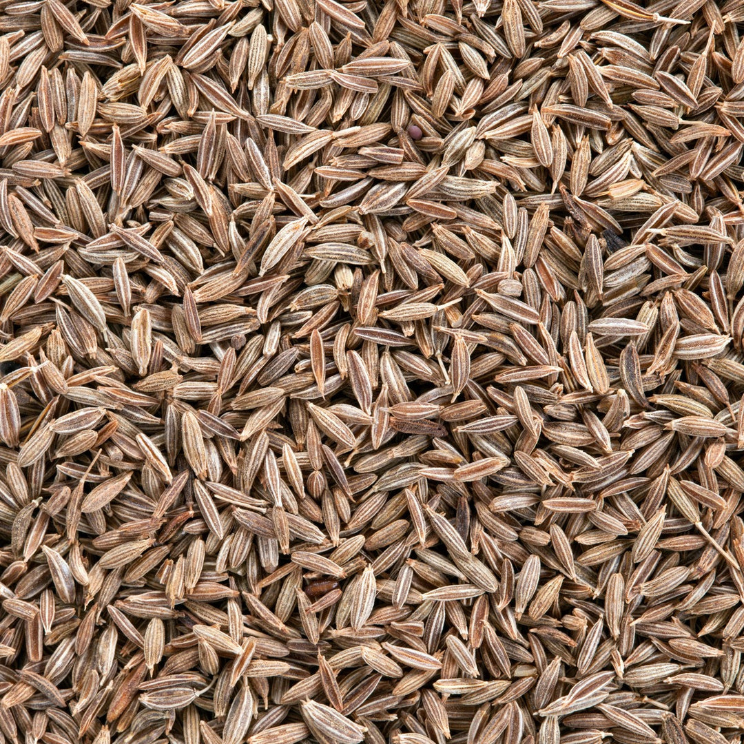 Cumin Seed