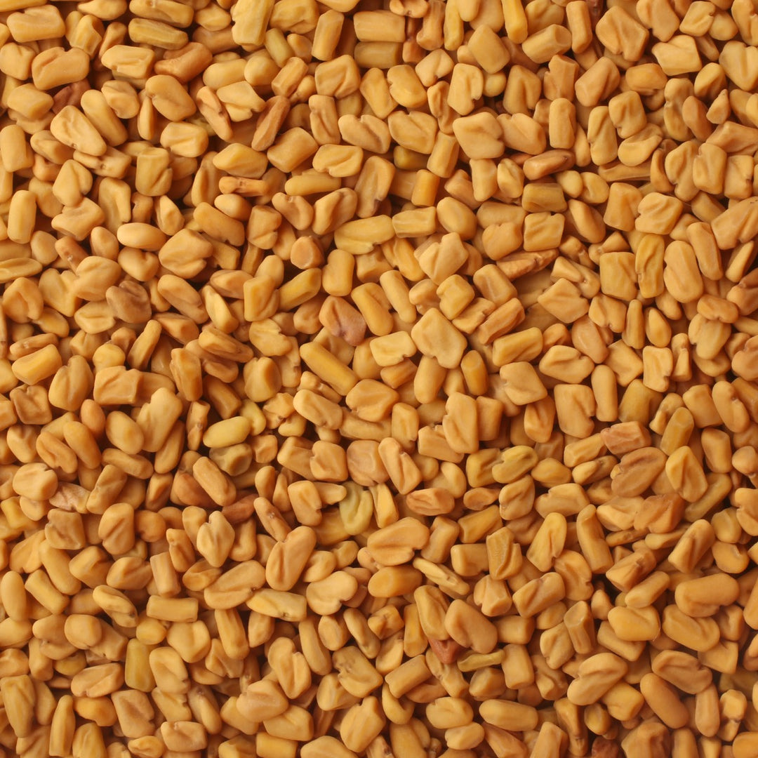 Fenugreek Seeds